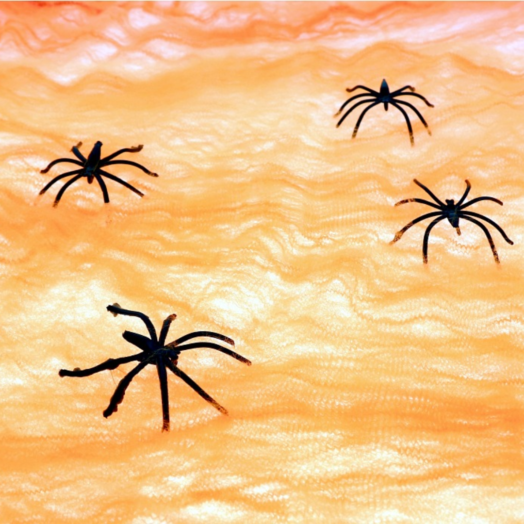 Oranssi hämähäkinseitti